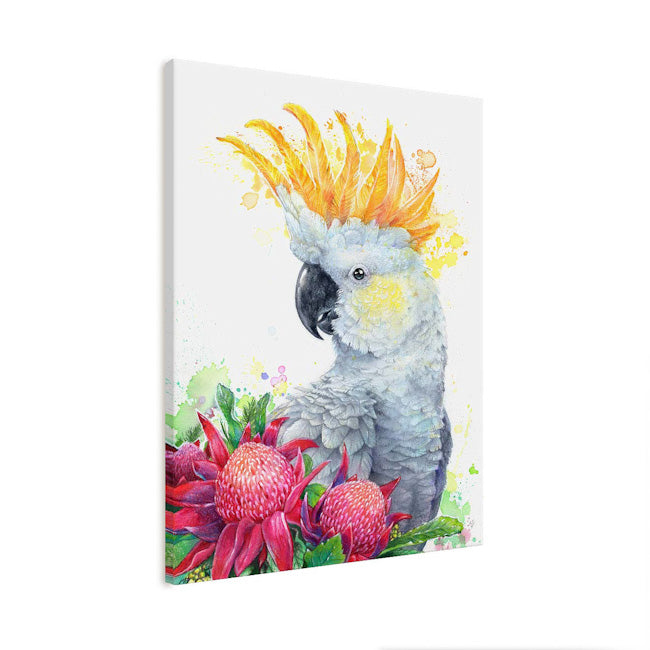 White Sulphur Crested Cockatoo and Waratahs Wall Art