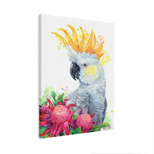 White Sulphur Crested Cockatoo and Waratahs Wall Art
