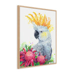 White Sulphur Crested Cockatoo and Waratahs Wall Art