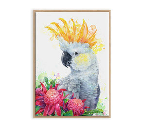 White Sulphur Crested Cockatoo and Waratahs Wall Art