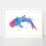 Whale Shark Art Print