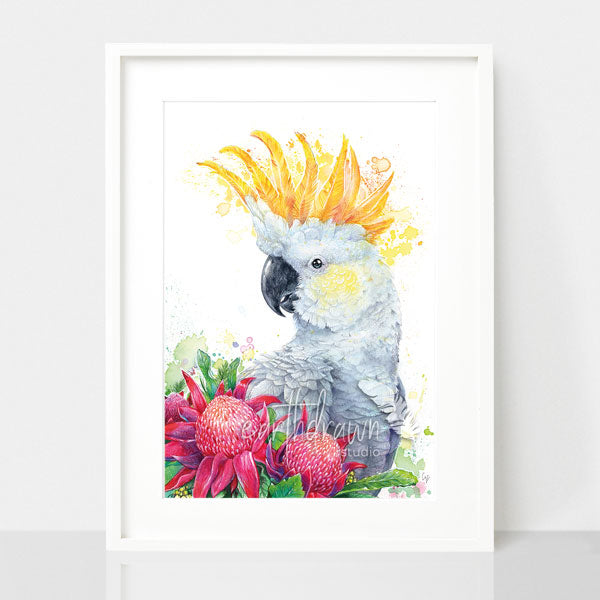 White Sulphur Crested Cockatoo and Waratahs Wall Art