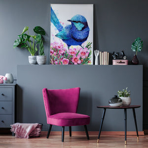 Blue Wren and Geraldton Wax Flower