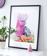 Pink Galah and Banksias Wall Art
