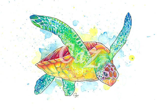 Sea Turtle Art Print