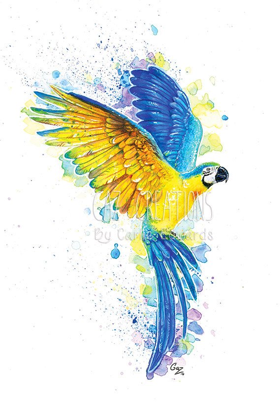 Blue & Gold Macaw Art Print