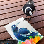 Magpie and Bottlebrush Wall Art